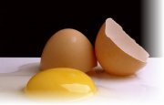 Польза куриных яиц